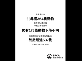 宏福苑五級火｜愛護動物協會稱尋獲364隻動物　70隻離世