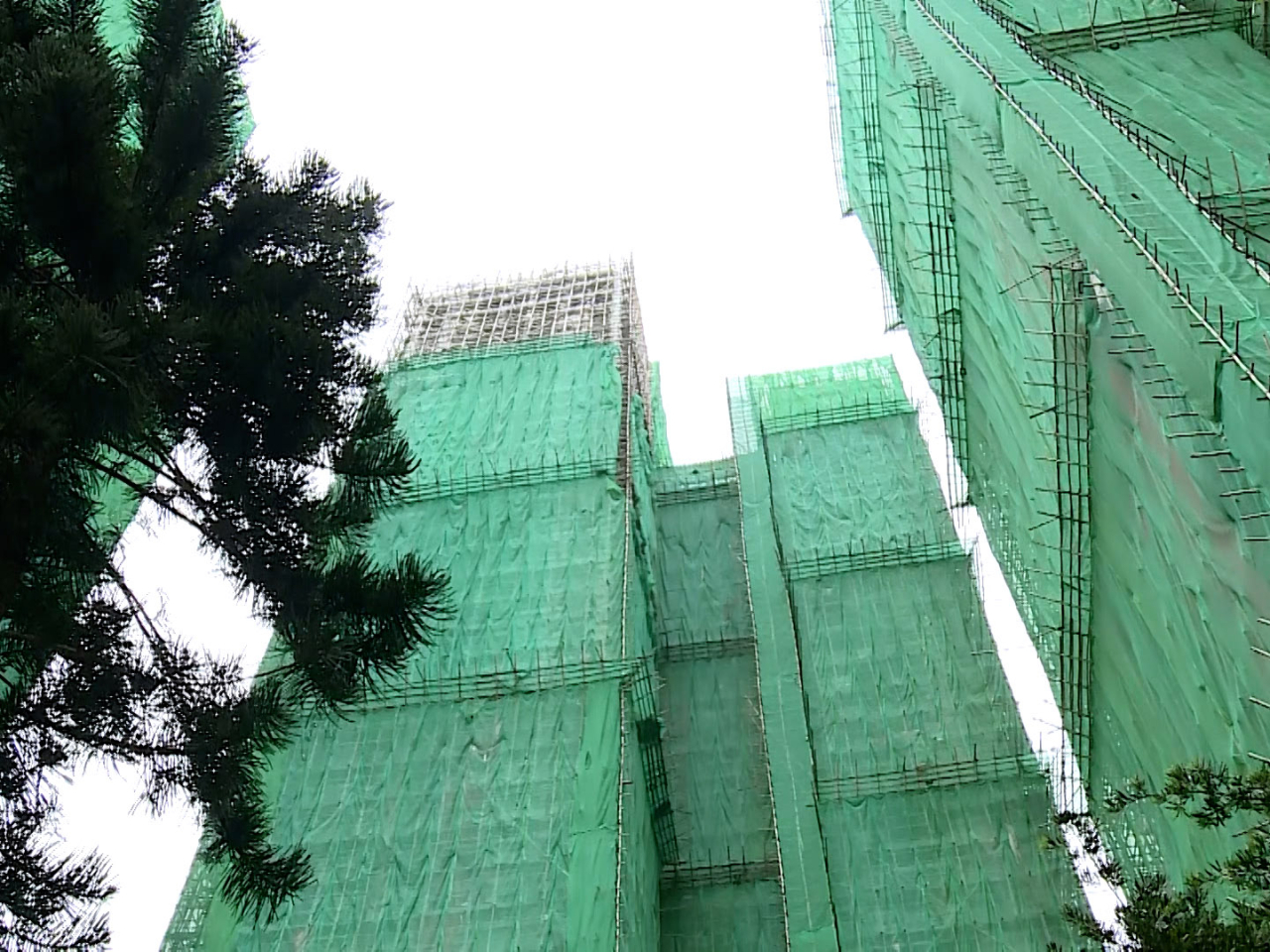 富林工程表示，穗禾苑地盤範圍廣闊，棚網面積約 20萬平方米，加上大廈樓層較高及外牆面積龐大，所需時間較多。（港台圖片）