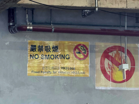 宏福苑五級火｜盧偉國十分贊成業界落實地盤全面禁煙