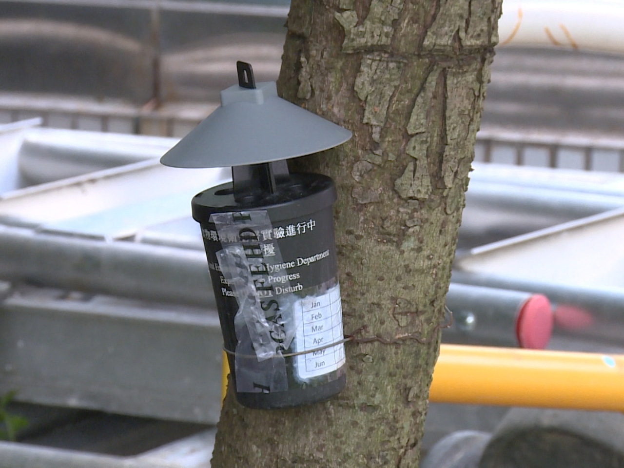 署方至今已公布11月共8批白紋伊蚊誘蚊器指數，涵蓋共64個監察地區。（港台圖片）