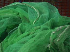 屋宇署表示，175幢私人樓宇的外牆棚網已經移除。（鍾家銘攝）