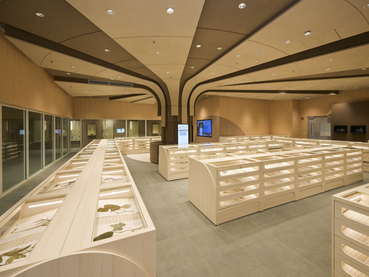 檢測中心內的中藥標本館，館內展出約3 500份標本。（政府新聞處）