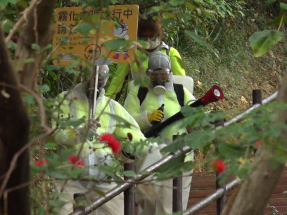 歐家榮：青衣自然徑滅蚊控蚊工作料需時7至10日