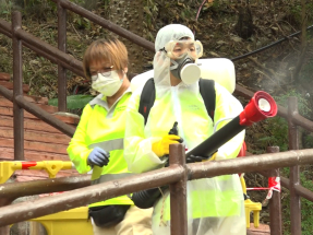 青衣自然徑暫停開放　當局派員滅蚊料需時7至10日