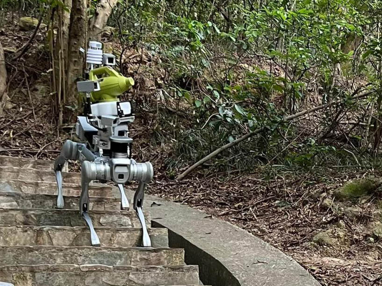 食環署持續進行密集式霧化處理以殺滅成蚊，並在合適的地方使用大型超低微量噴霧器及試用滅蚊機械狗，以提升工作成效。（食環署社交網站）