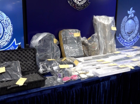 國安處首次引用「非法操練」罪拘捕9人