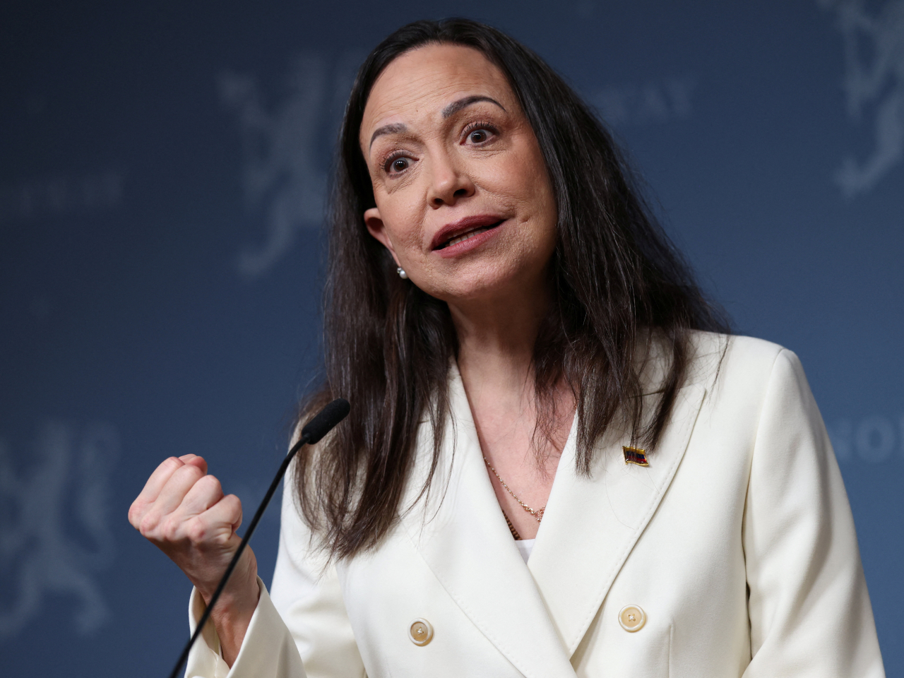 Maria Corina Machado says regime change has already been 'mandated by more than 70 percent of Venezuela's population'. Photo: Reuters