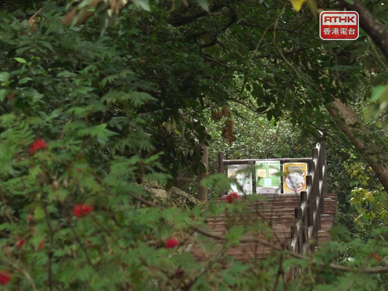 青衣自然徑繼續暫停開放。（港台圖片）