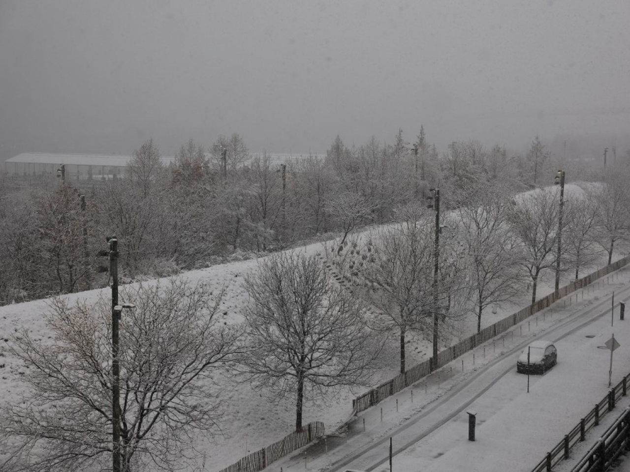 受降雪影響，紐約市內白矇矇。（法新社）