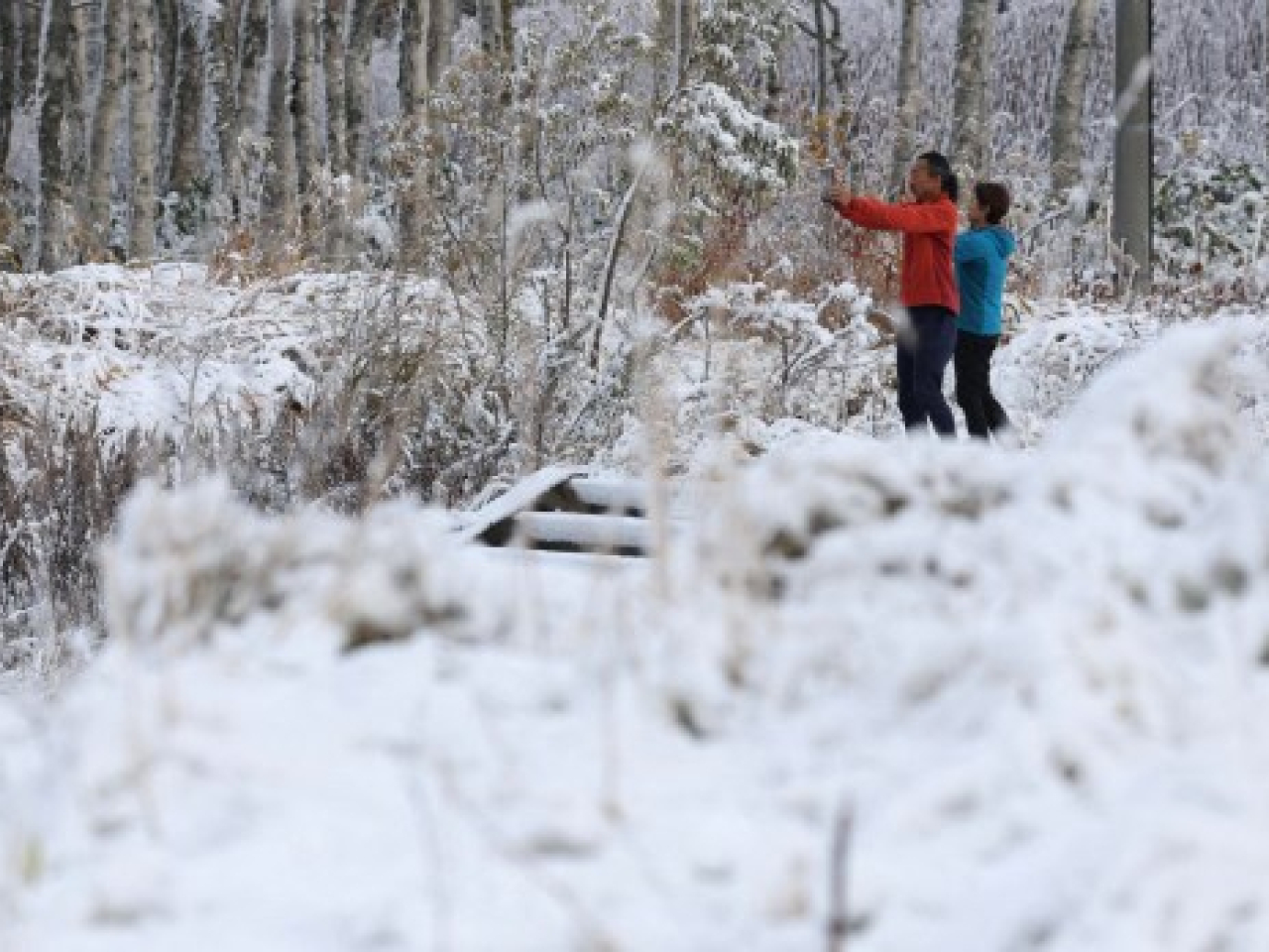日本北海道多地昨日起持續受到暴風雪吹襲。（法新社資料圖片）