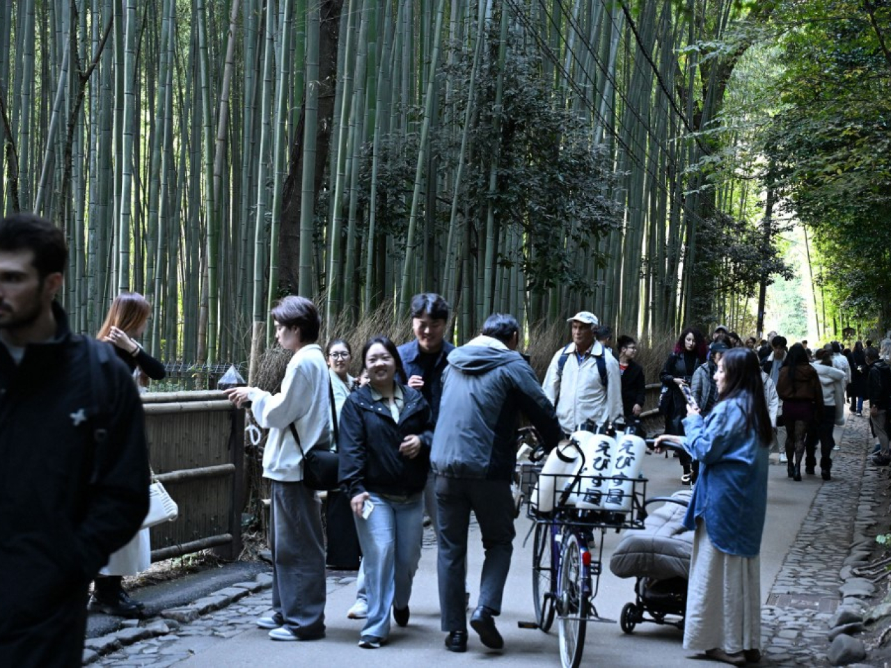 上月訪日旅客人數為352萬人次，較去年同期增長10.4%。圖為京都嵐山竹林小徑。（法新社資料圖片）