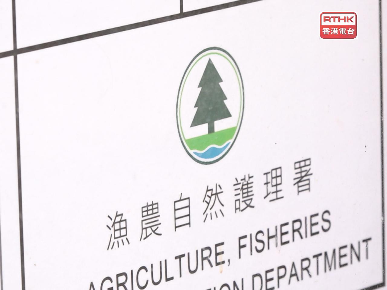 漁護署從元朗流浮山一持牌豬場所抽取的四個豬隻樣本，經檢驗後發現全部樣本對非洲豬瘟病毒呈陽性反應。（港台圖片