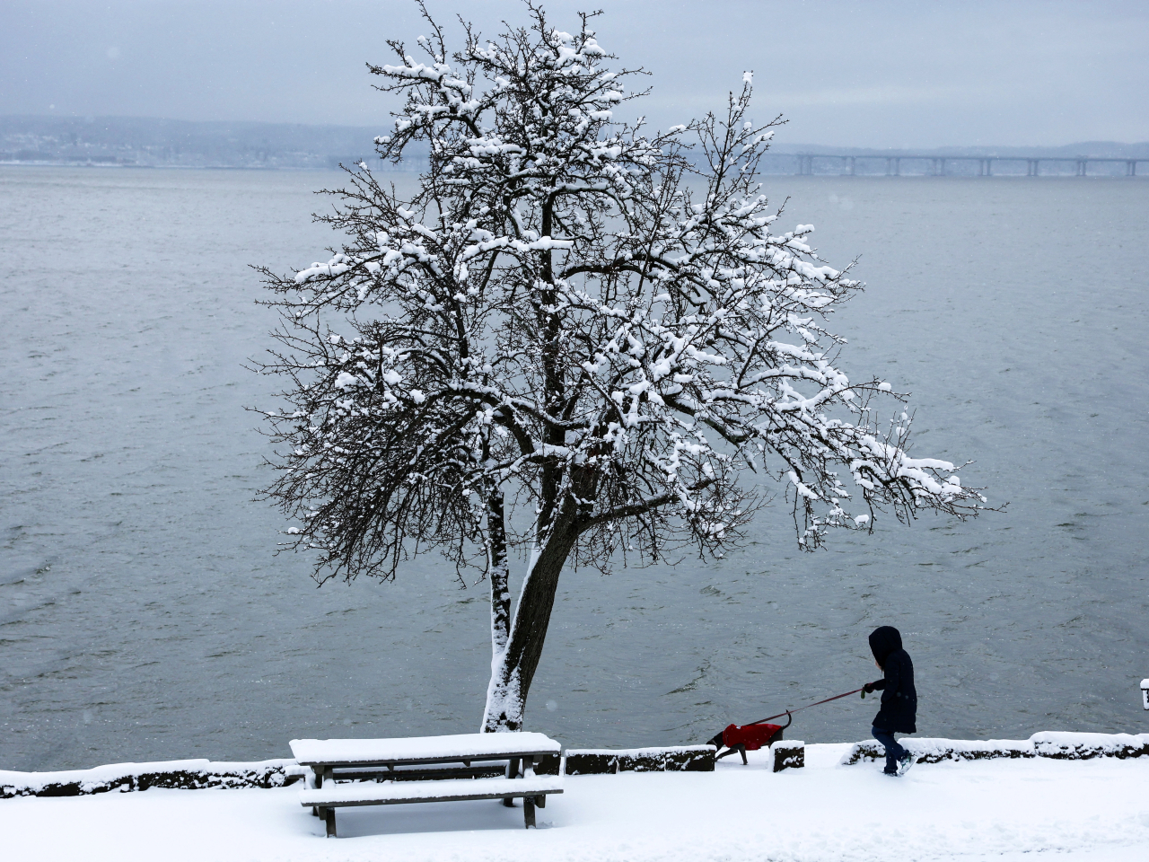 美國多個州受到冬季風暴吹襲。（路透社資料圖片）