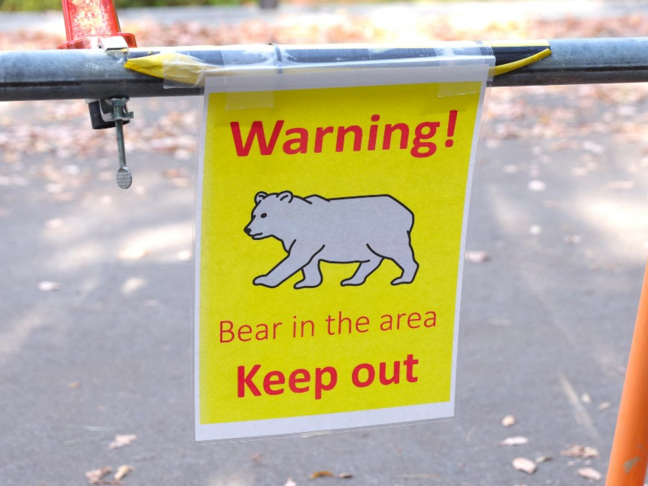 日媒：今年4至10月有近一萬隻熊被殺創歷史新高。（法新社資料圖片）