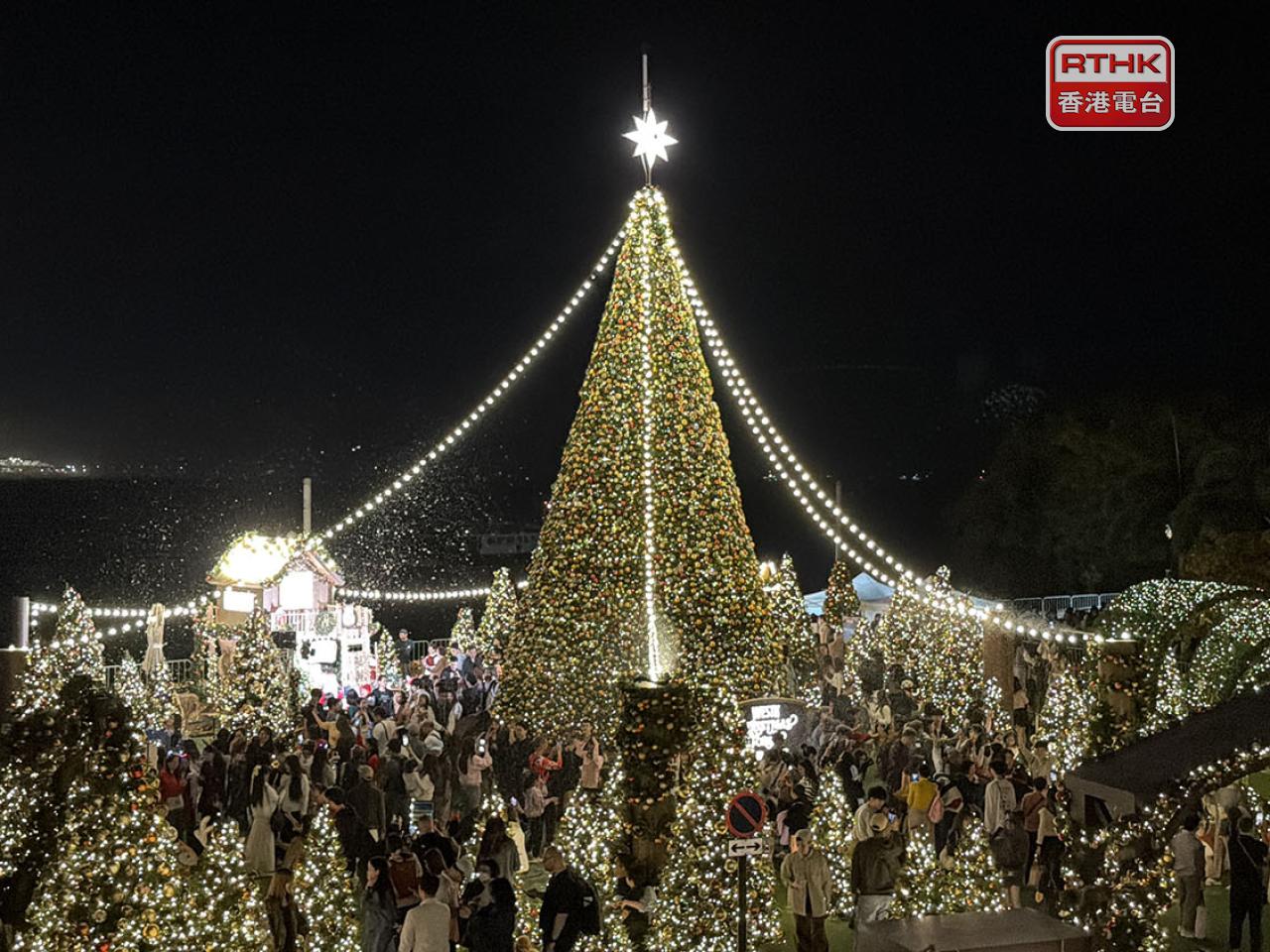 西九有超過60棵聖誕樹，包括一棵超過12米高的聖誕樹。（黃貝紋攝）