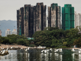 One more arrest over Wang Fuk Court inferno