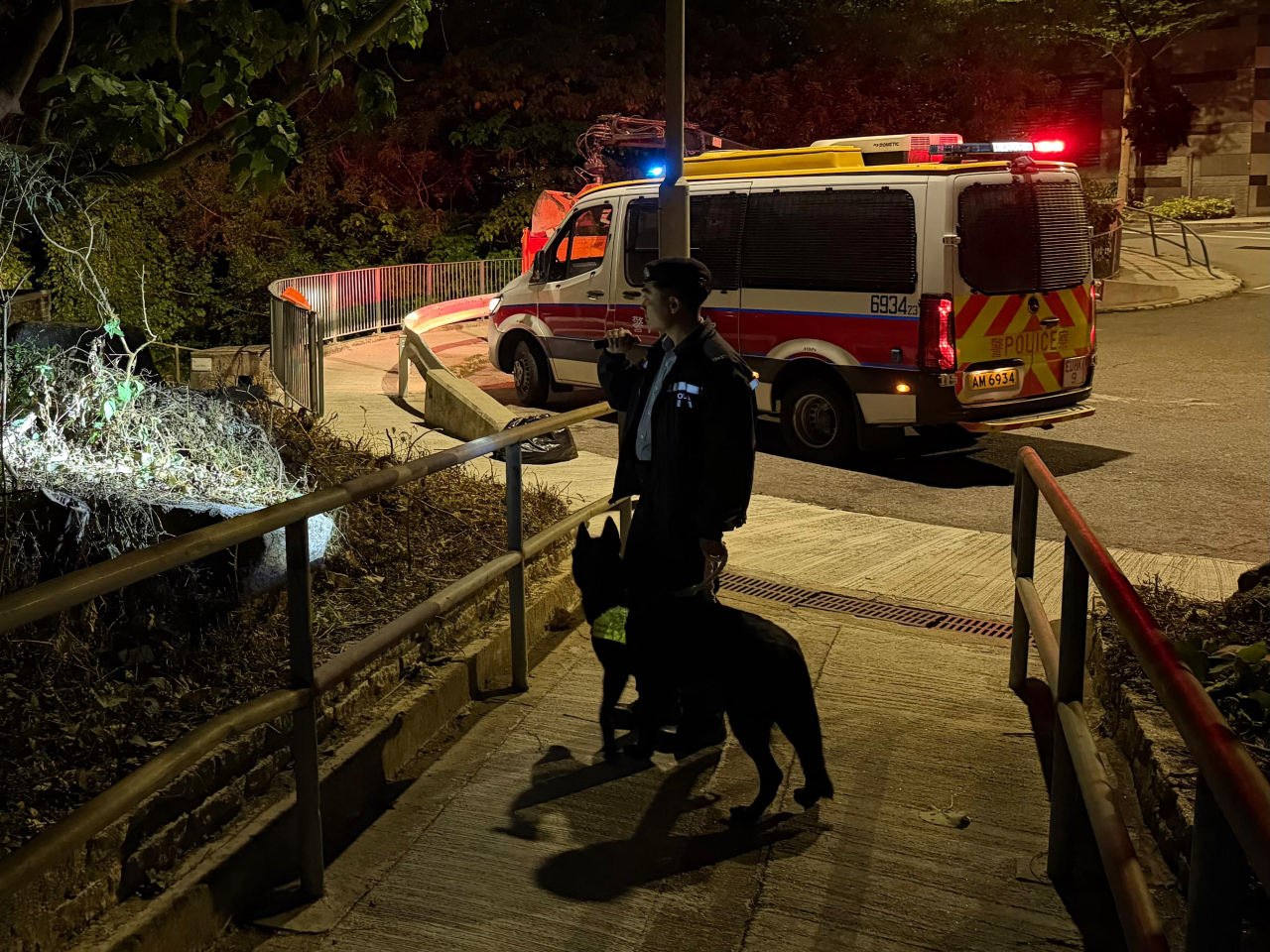 警方將重點巡查半山郊區及港島南區水域一帶鄰近屋苑的山坡與密林。（警方提供）