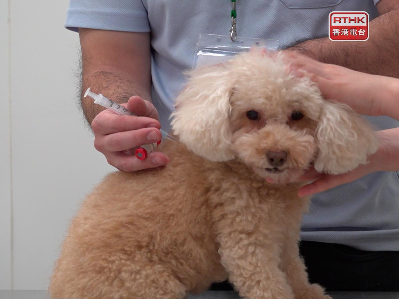 關晉樂表示，新大樓的檢疫設施比舊址數量更多，舒適程度亦最高。（陳韋丞攝）