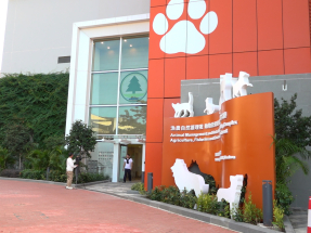 漁護署動物檢疫設施增加　內地進口貓狗檢疫輪候時間縮短