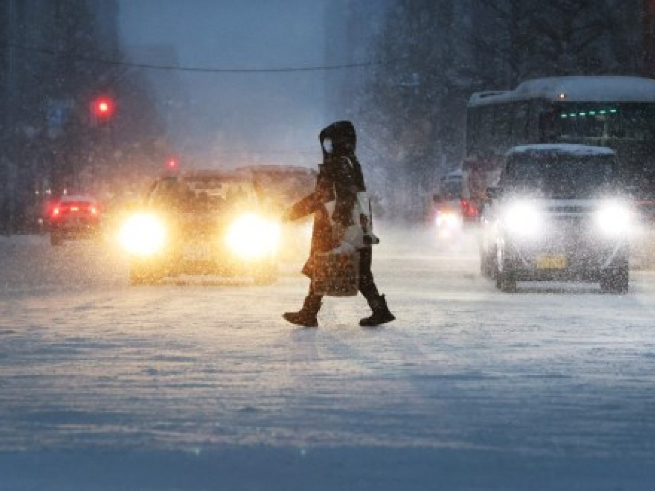 日本北部連續多天下暴雪，本港入境處表示，至今並未接獲港人求助。（法新社資料圖片）