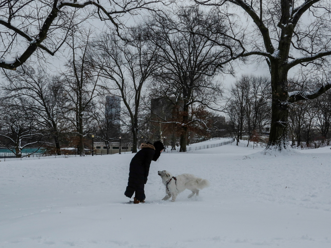 紐約州及新澤西州受冬季風暴帶來的降雪影響。（路透社）