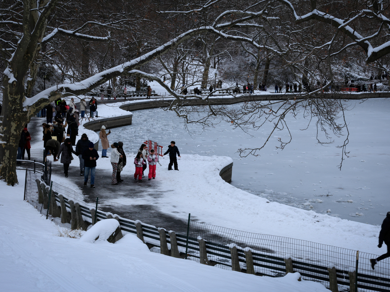 民眾到紐約曼哈頓的中央公園遊覽。（路透社）