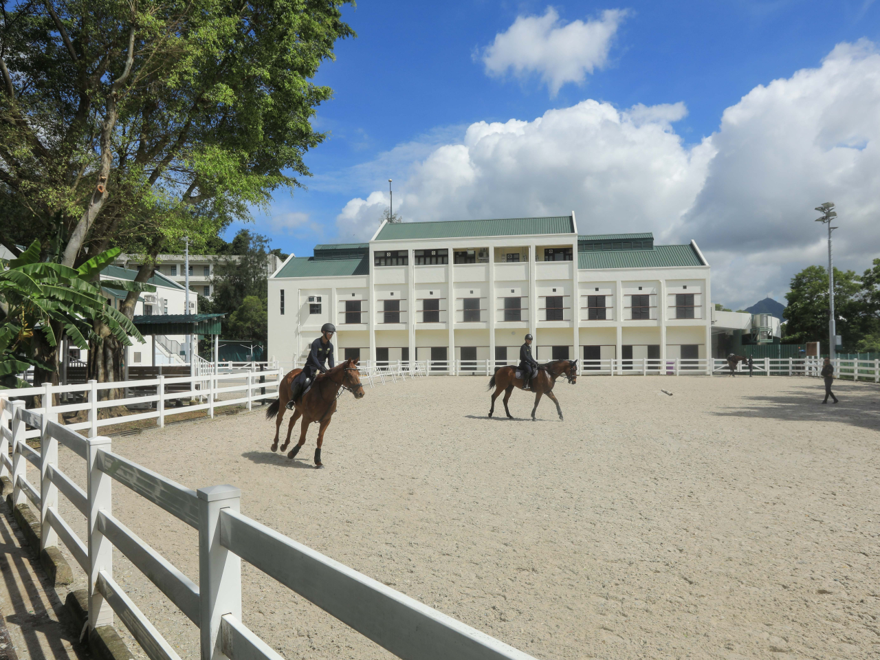 The Jockey Club says more than 20,000 people are on the waiting list for the three public riding schools in HK. Photo courtesy of the Leisure and Cultural Services Department