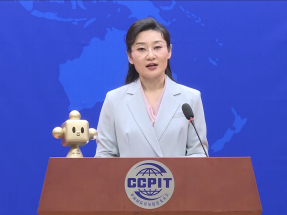 王文帥說，代表團與美方企業和機構組織逾20場中美工商對接活動。（中國網圖片）