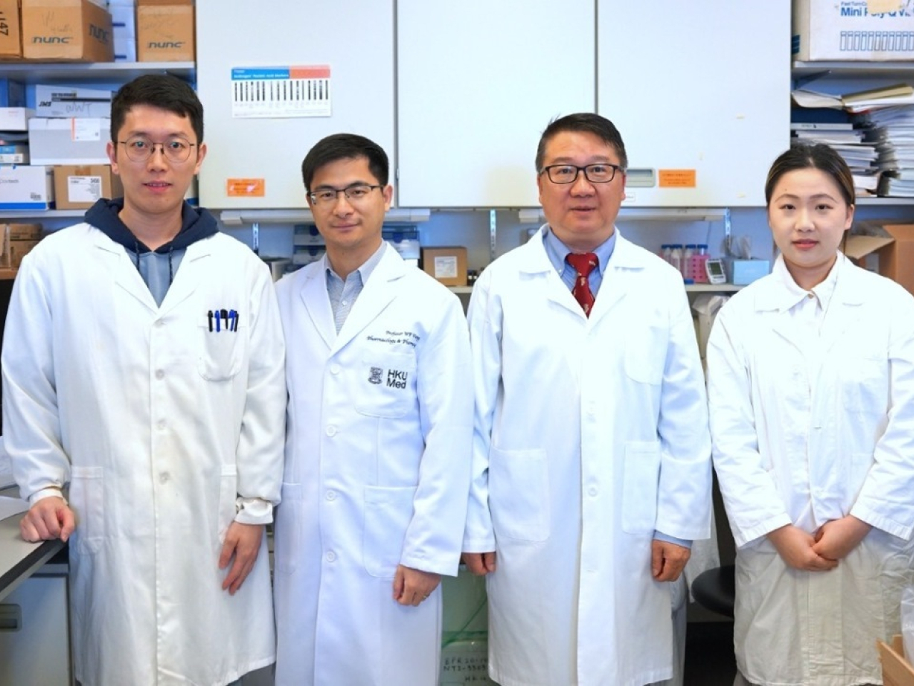 香港大學團隊成功將&gamma;&delta;-T細胞外泌體與光敏劑氯e6（Ce6）脂質體結合，開發出光敏混合型&gamma;&delta;-T細胞外泌體。（香港大學）