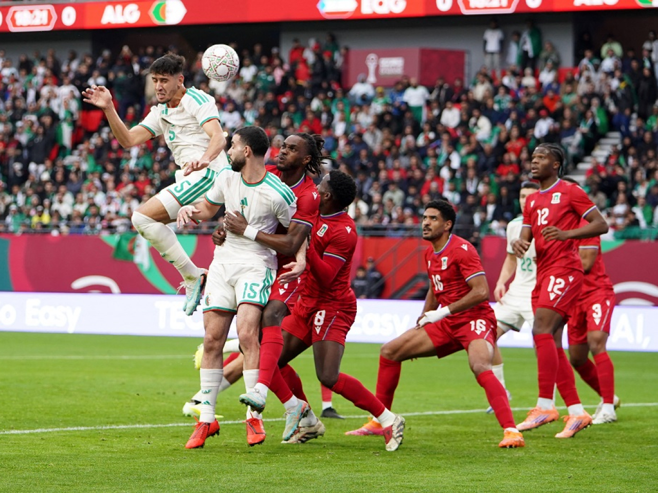 Zineddine Belaid gets Algeria off to a flying start against Equatorial Guinea. Photo: Reuters