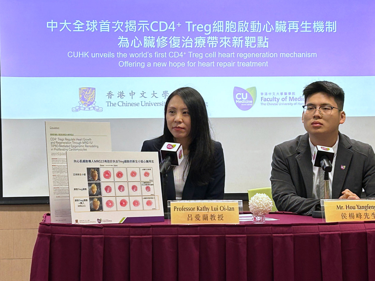 中大指今次是全球首次發現這項心肌再生的關鍵機制。（林漢山攝）