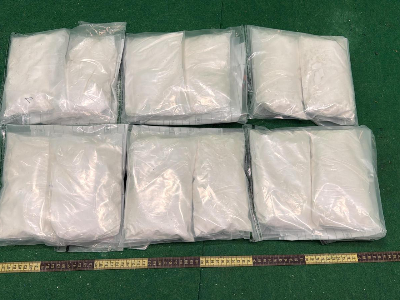 海關檢獲的懷疑可卡因。（政府新聞處）