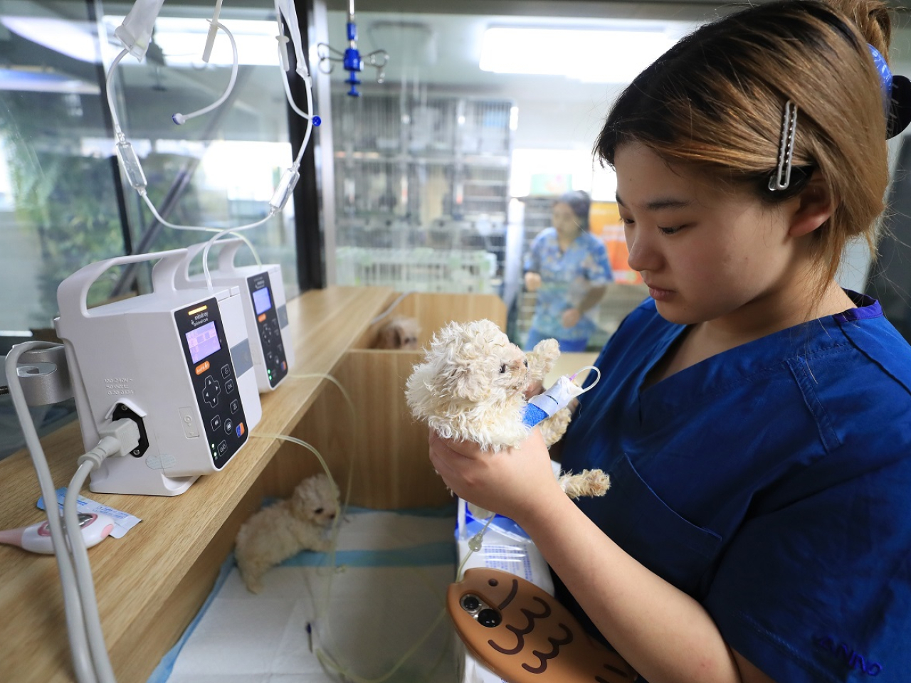 有分析認為，隨著愈來愈多內地民眾飼養寵物，預計寵物經濟產業將加快發展。（新華社資料圖片）