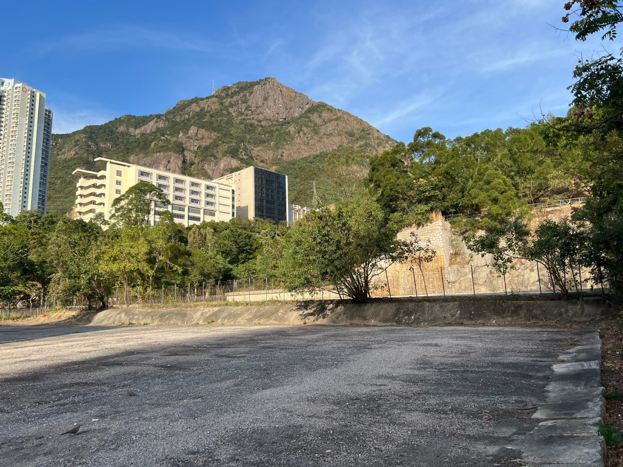 信置投得九龍佐敦谷彩興路住宅用地（圖）。集團稱將繼續積極增添土地儲備。（信置提供）