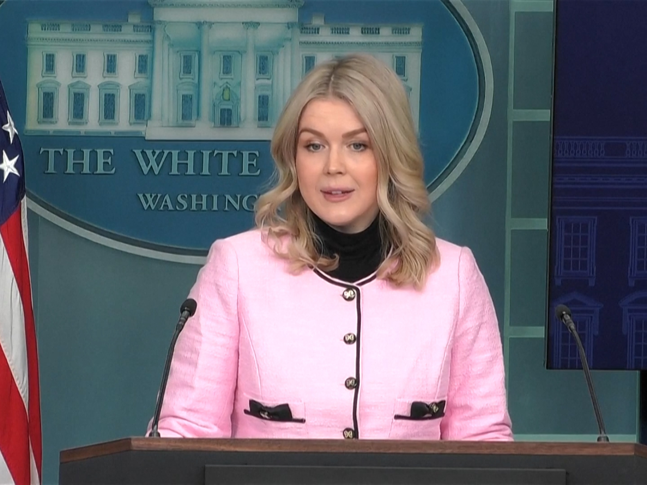 White House Press Secretary Karoline Leavitt says US President Donald Trump is actively discussing purchase of Greenland. Photo: Reuters