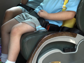 警稱保母有責任助學童戴好安全帶　運輸署指安全帶有效減傷亡風險