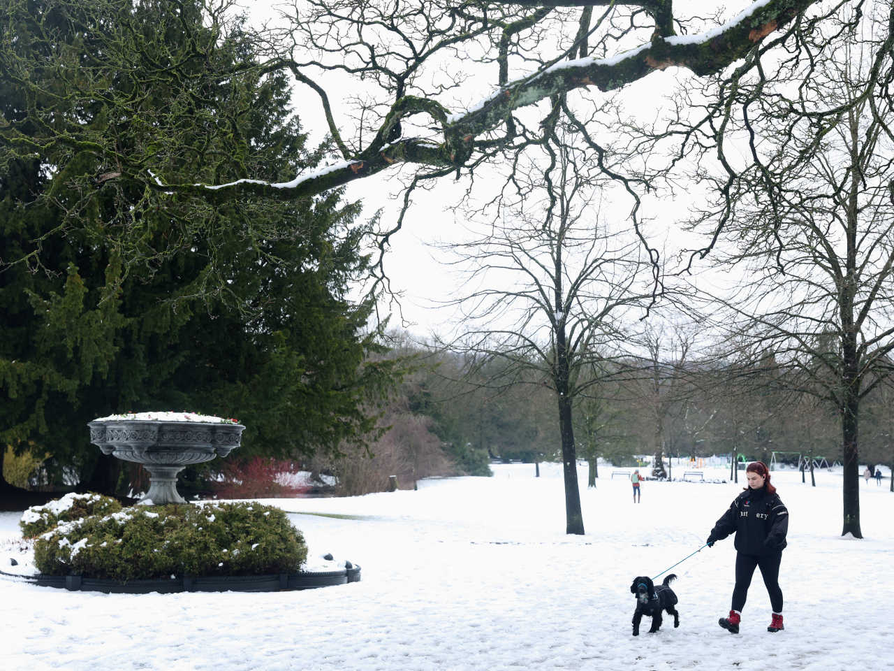 Some 57,000 homes in the UK remained without electricity, according to the National Grid energy provider, after Storm Goretti brought strong winds and heavy snow to parts of the country overnight. Photo: Reuters