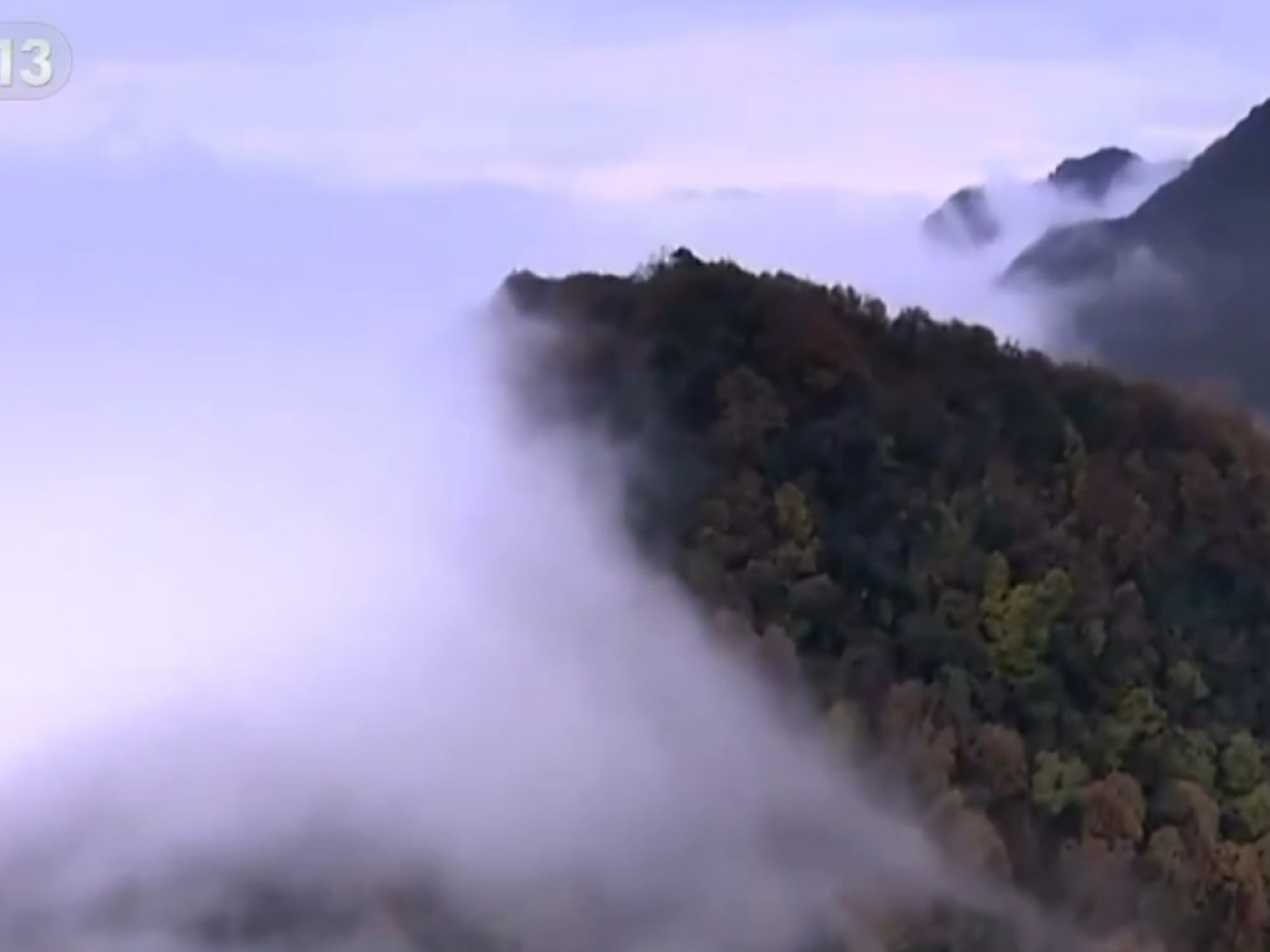 鰲太線是一條縱貫秦嶺鰲山與太白山之間的路線，處於國家級自然保護核心區。（央視截圖）
