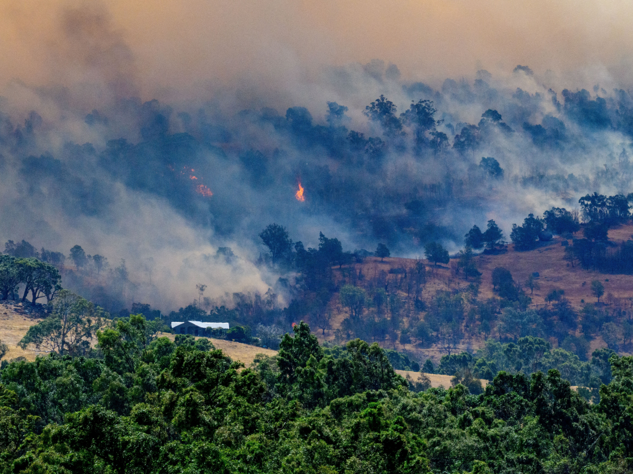 山火在全國數十個地點持續焚燒多日，主要集中在維多利亞州。（路透社資料圖片）