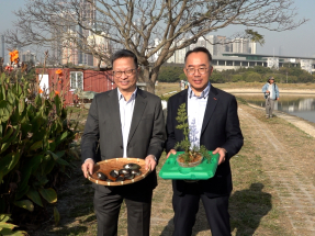 Bird species at MTR's Lok Ma Chau Wetland up 25pc