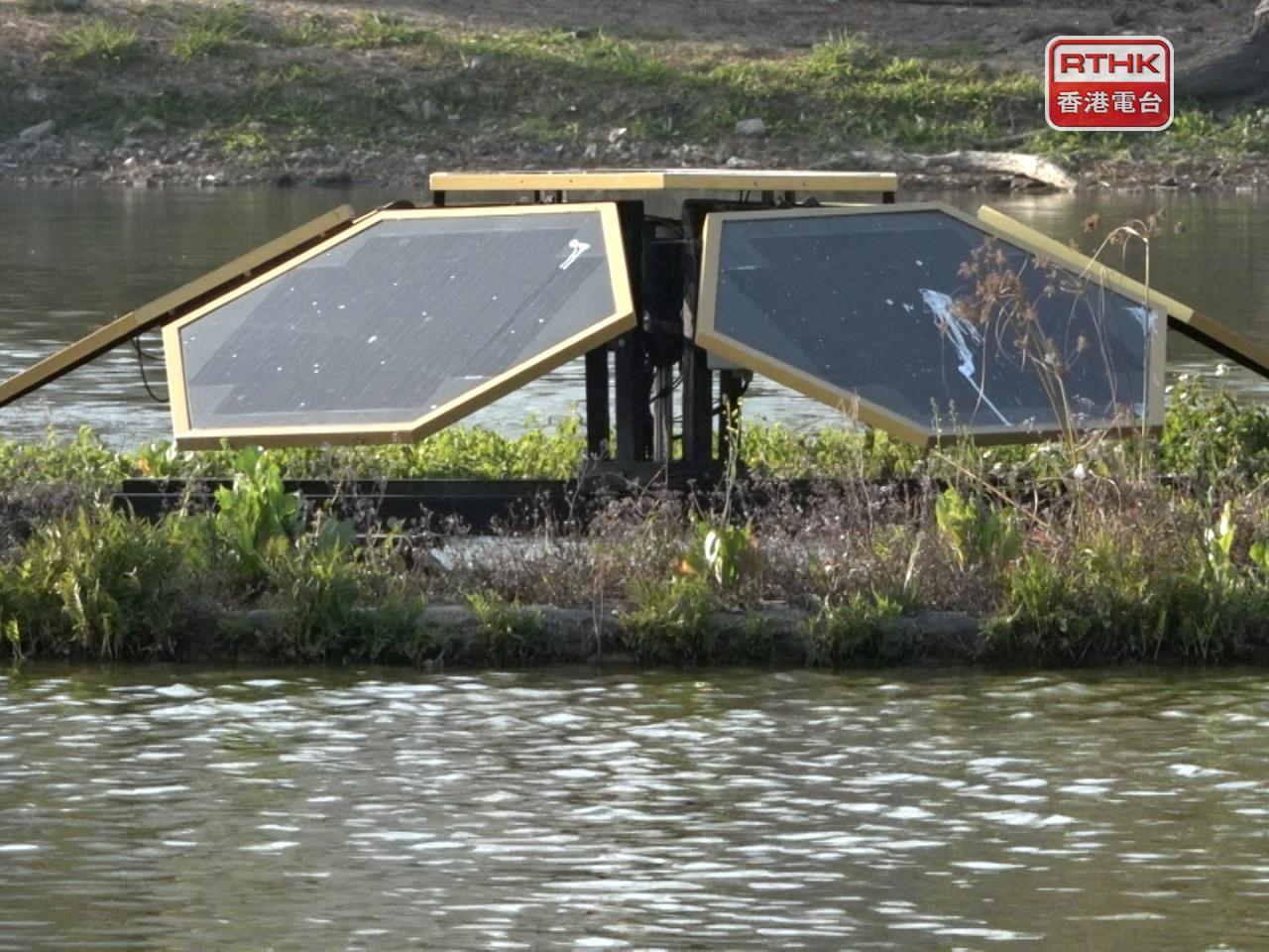 陳慶強認為，浮島為鳥類及其他動物增加棲息空間，淡水蚌除了作為鳥類食物，亦有助調節水質。（林紹鋒攝）