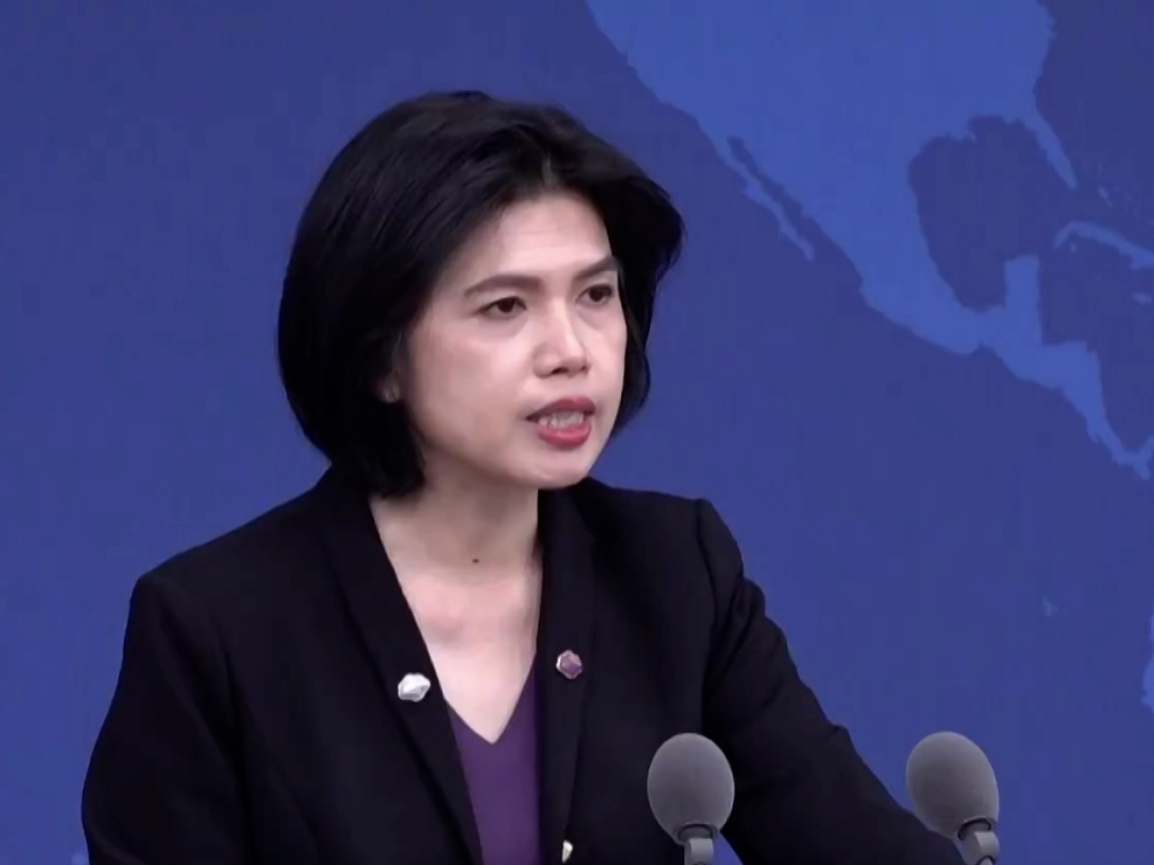 朱鳳蓮強調台灣是中國的一部分，台灣問題純屬中國內政。（中國網）