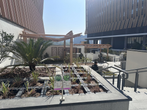 Chinese Medicines Testing Institute boosts GBA ties