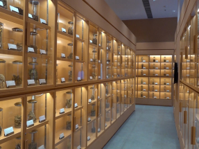 中藥檢測中心啟用　強化香港成中藥走出國際橋頭堡作用