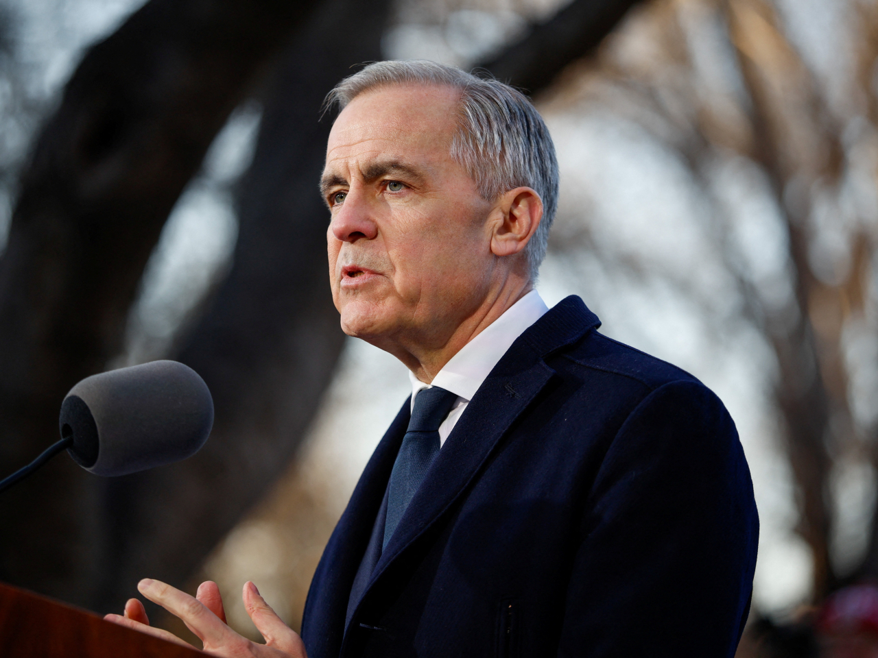 訪華的加拿大總理卡尼與國家主席習近平會談後見記者。（路透社）