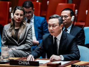 'Japan not qualified for UN Security Council seat'