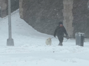 美國冬季風暴持續　仍有21個州處於緊急狀態