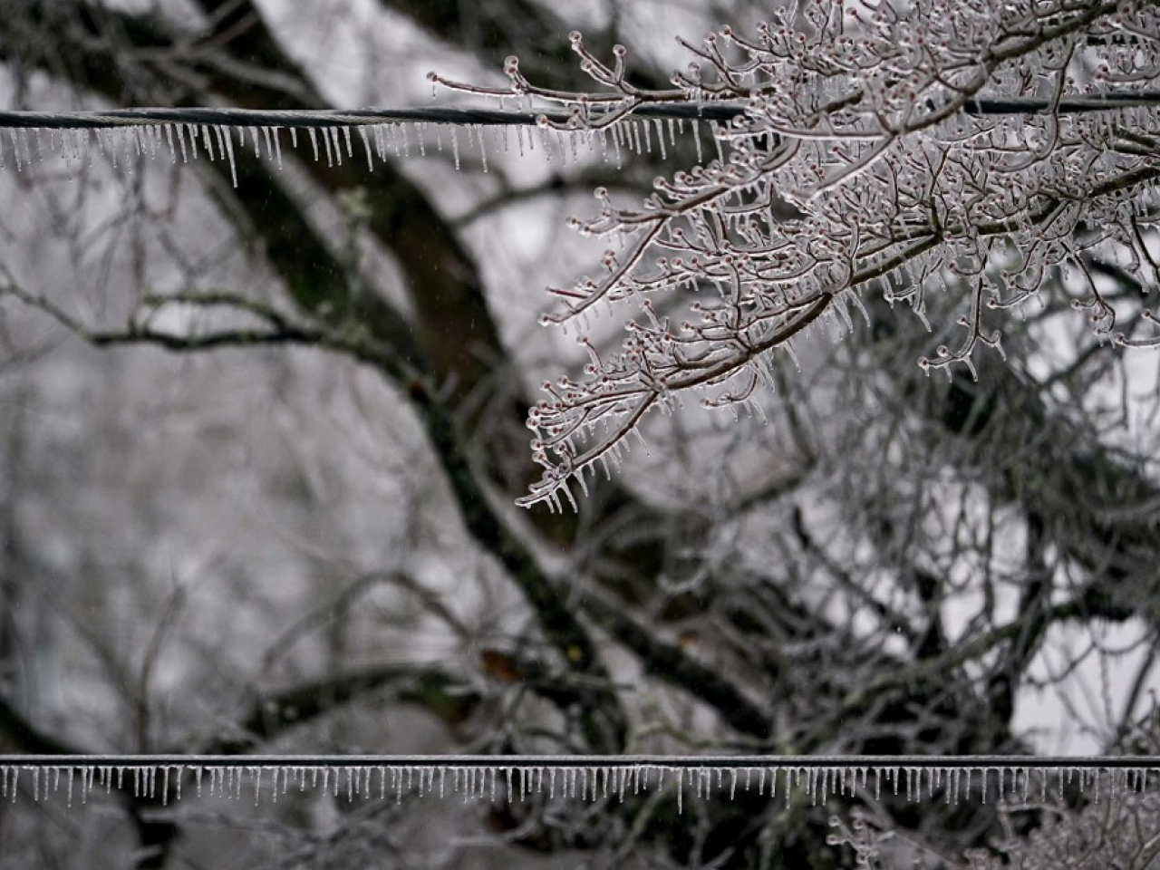 Ice has brought down power lines across a number of states in the southeast United States. Photo: AFP