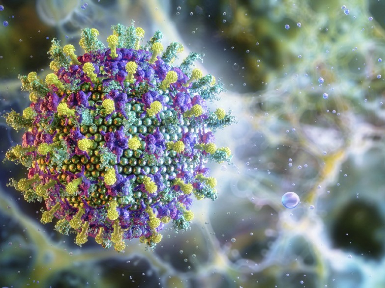 國家疾控局表示，這次尼帕病毒疫情對中國的影響相對較小。（法新社資料圖片）