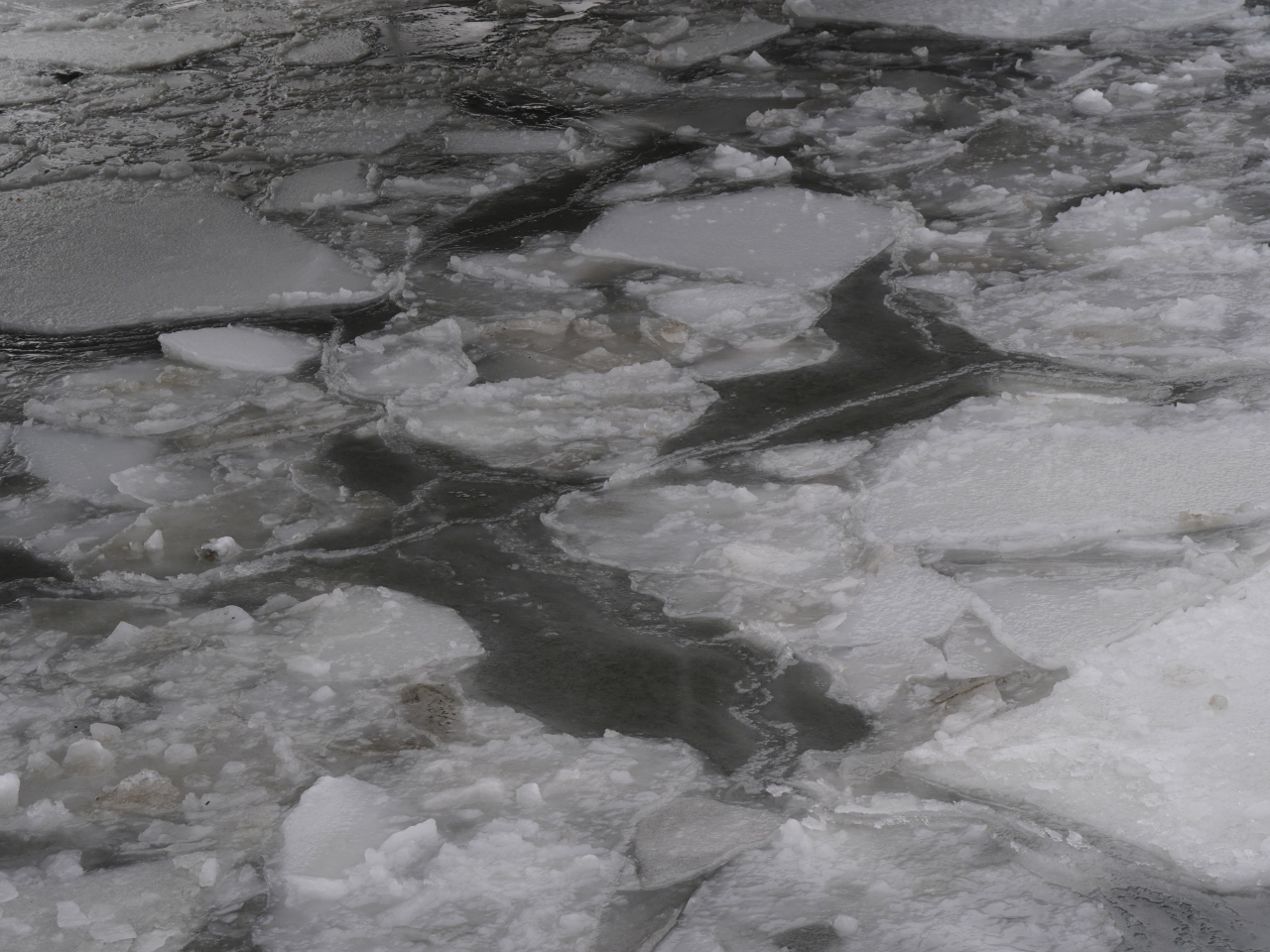 紐約市有河流出現冰塊。（路透社）